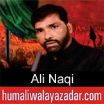 https://humaliwalaazadar.blogspot.com/2019/08/ali-naqi-nohay-2020.html