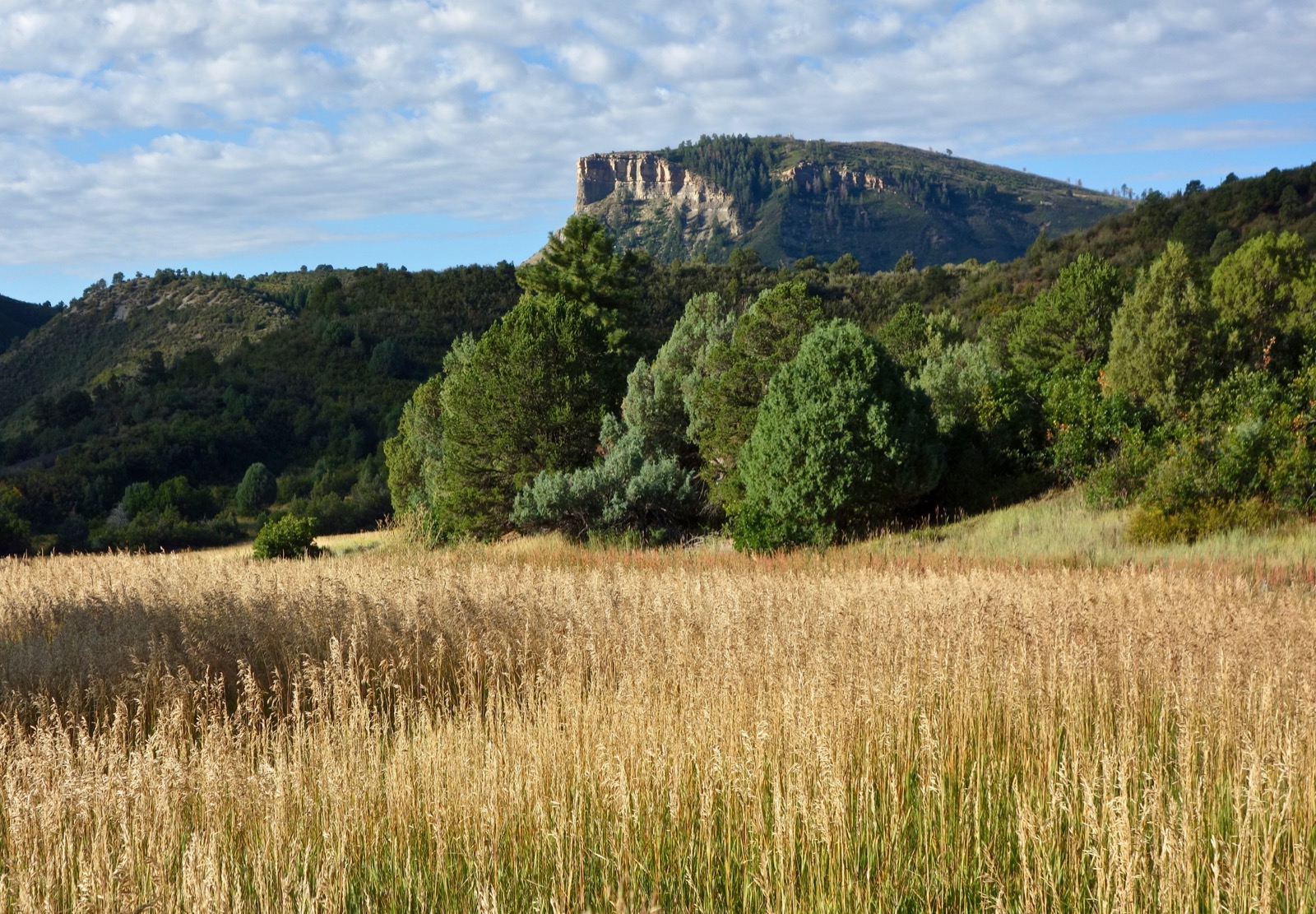 Earthline The American West Dry Gulch Trail, Durango