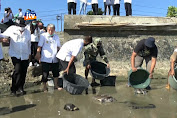 Berharap Konflik Selesai, Umat Konghocu Lepas Penyu Ke Laut