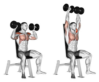 Shoulder Dumbbell Press Top 5 exercises For Building 3d Shoulders