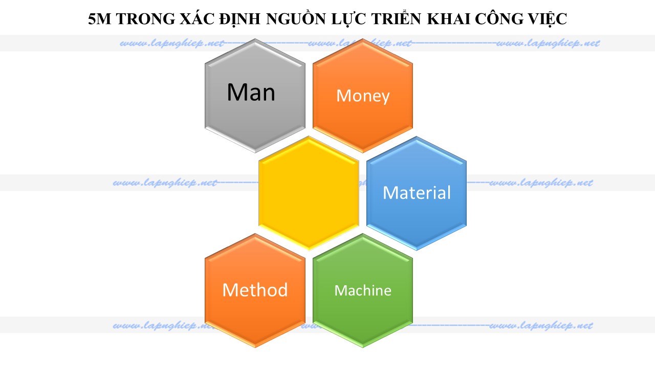 Hiệu quả từ các mô hình lập nghiệp của thanh niên