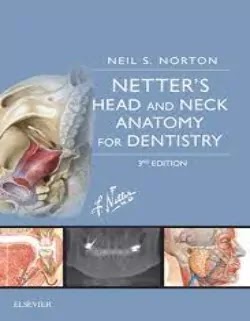 Download Netter’s Head and Neck Anatomy For Dentistry PDF
