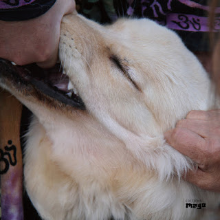 Fennesz, Jim O'Rourke, It's Hard for Me to Say I'm Sorry