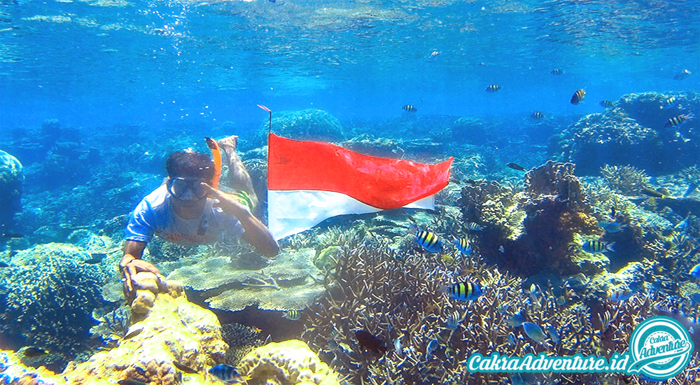 underwater pulau harapan wisata pulau harapan