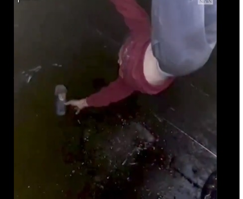 Pequeño niño rescata a unos cachorros que cayeron a un pozo con petróleo (video)