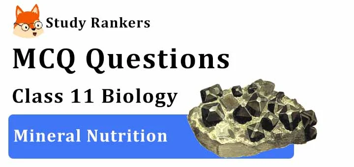 MCQ Questions for Class 11 Biology: Ch 12 Mineral Nutrition