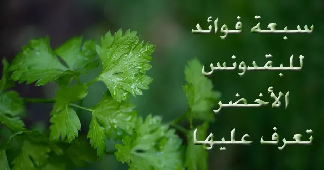 فوائد البقدونس الأخضر البقدونس الأخضر