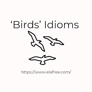 ‘Birds’ Idioms