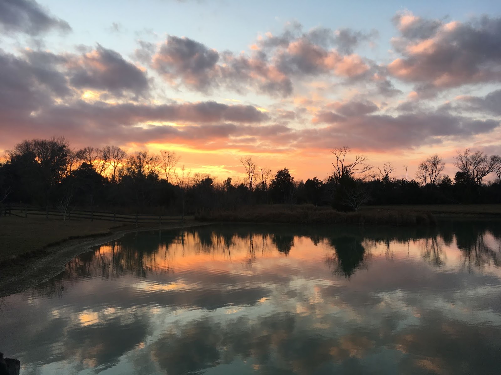 Spencer Family Farm, Marion Junction, Alabama