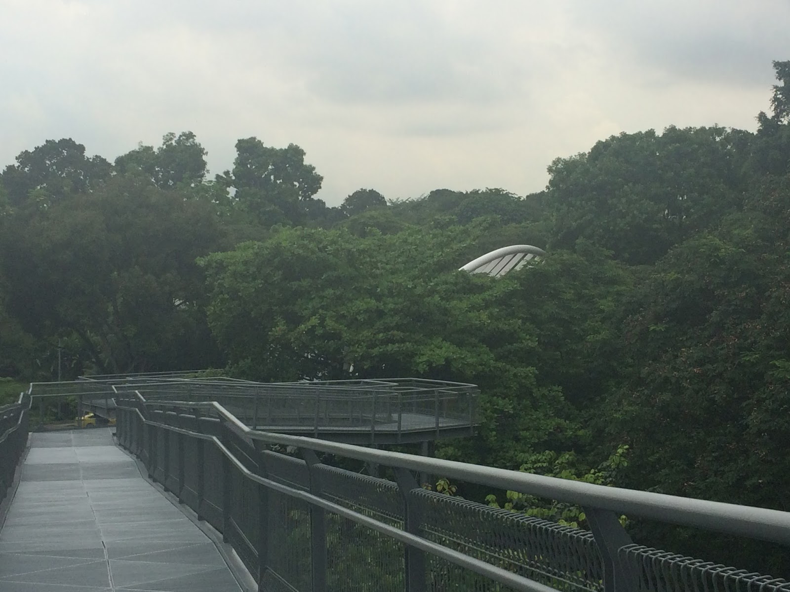Red Dot Roaming - Kent Ridge MRT - Kent Ridge Park, Hort Park and the ...