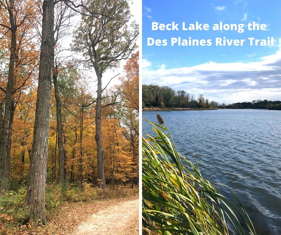 A Little Time and a Keyboard Hiking Off of the Des Plaines River Trail