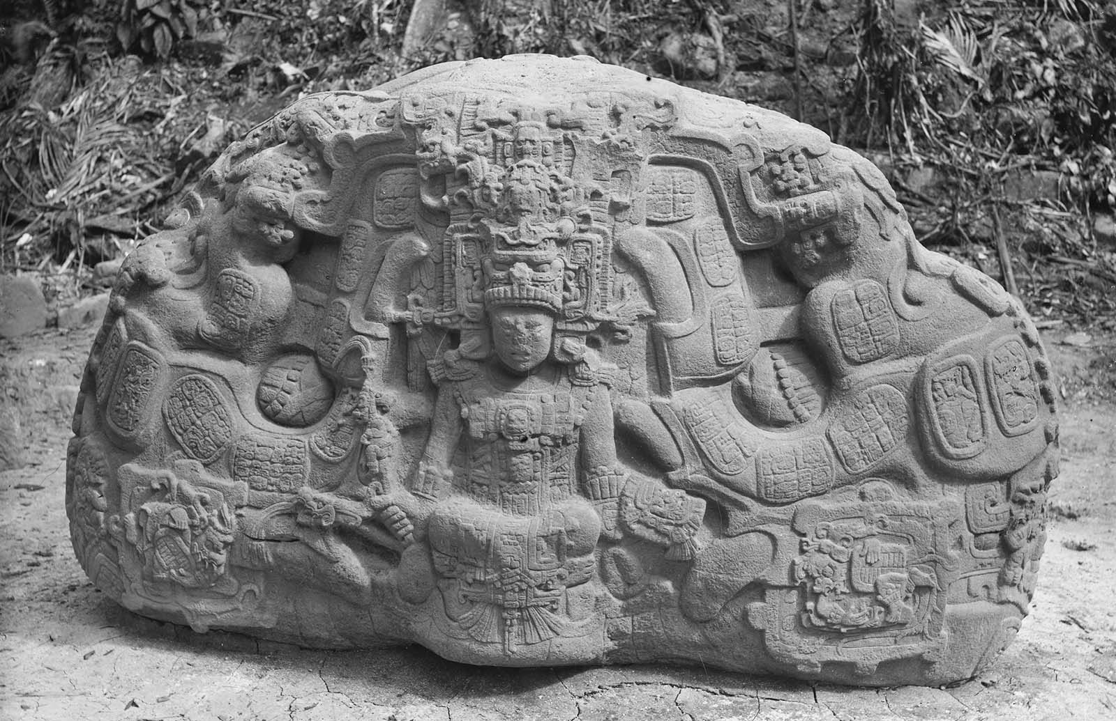 Zoomorph P at Quirigua, Guatemala, 1883.