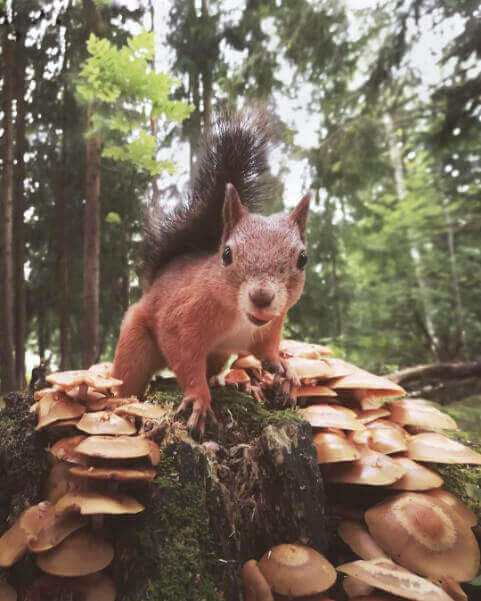 Konsta Punkka Fotografía Konsta Punkka Fotografía