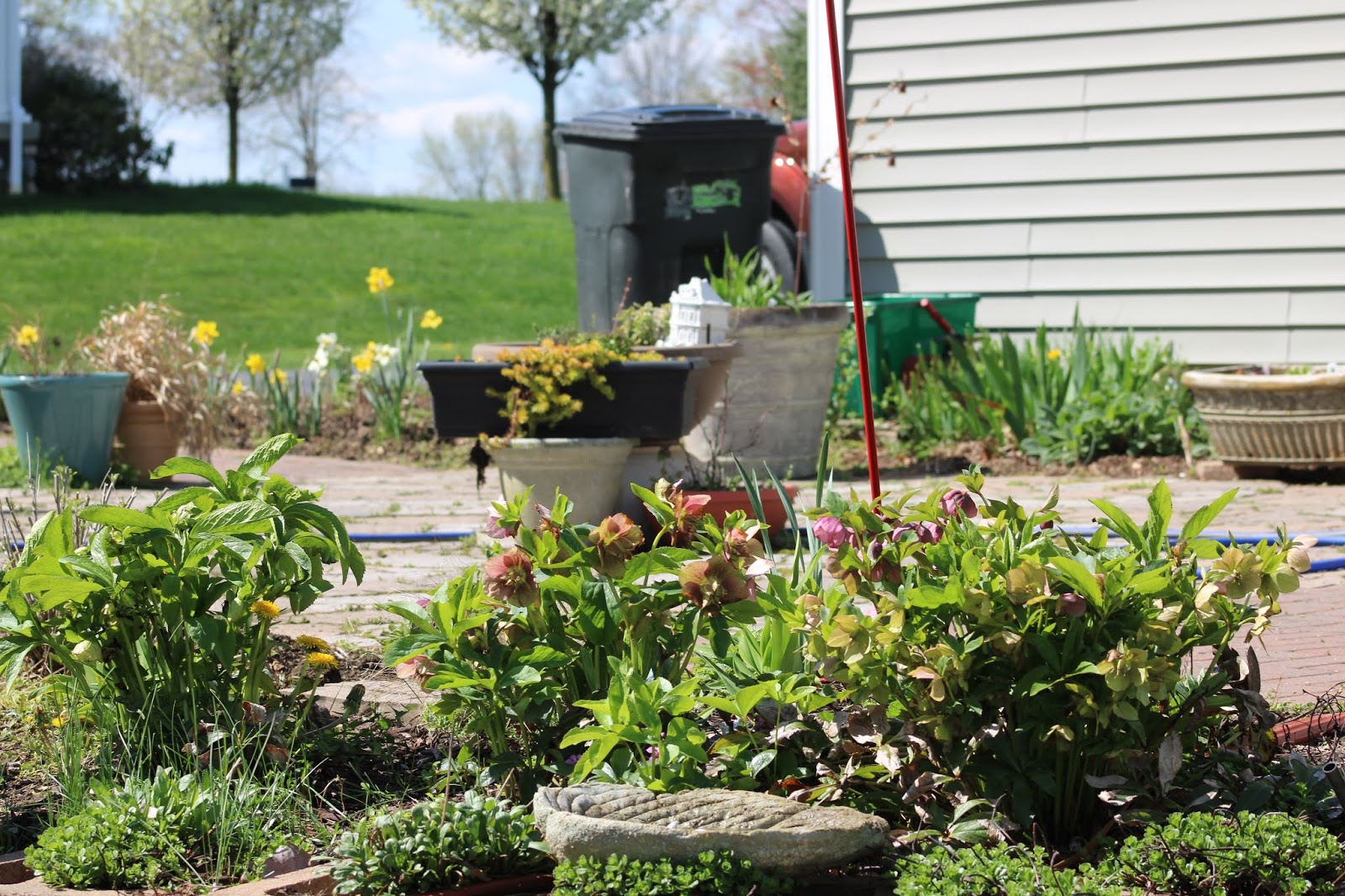 Garden Beds in April