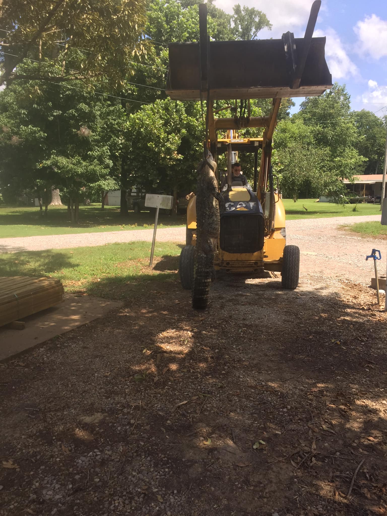 Marian's Hunting Stories, etc., etc., etc... Gator Hunters 2021 MS