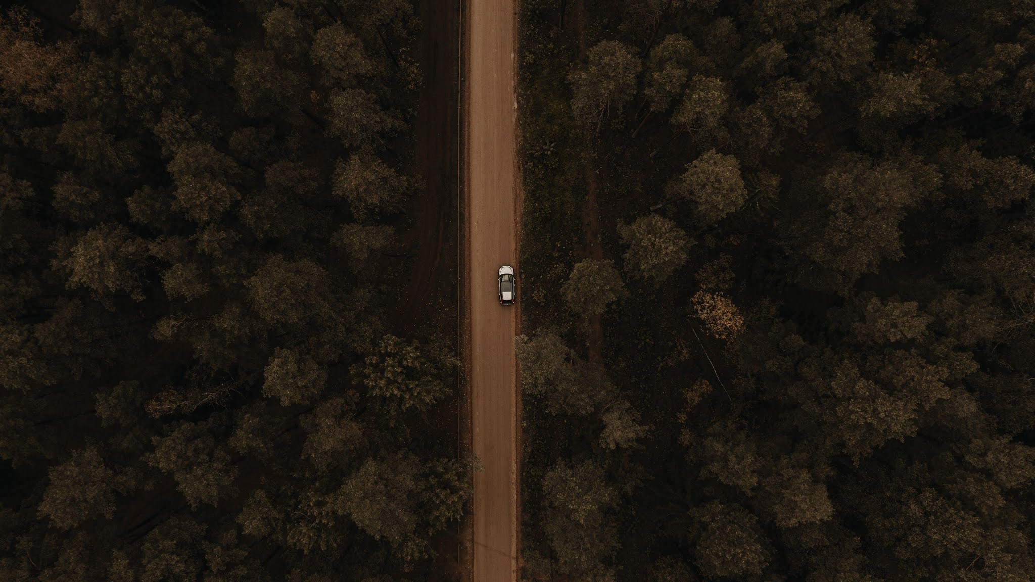 Drone Aerial Shot Forest Trees Car Road Download Wallpapers 2021