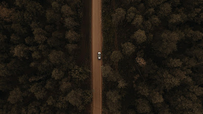 Drone Aerial Shot, Forest, Trees, Car, Road Drone Aerial Shot, Forest, Trees, Car, Road