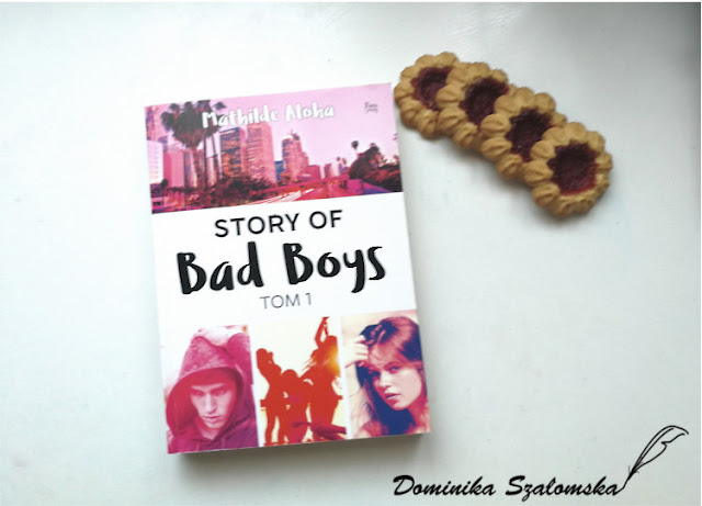#191 Recenzja książki "Story of Bad Boys" Mathilde Aloha