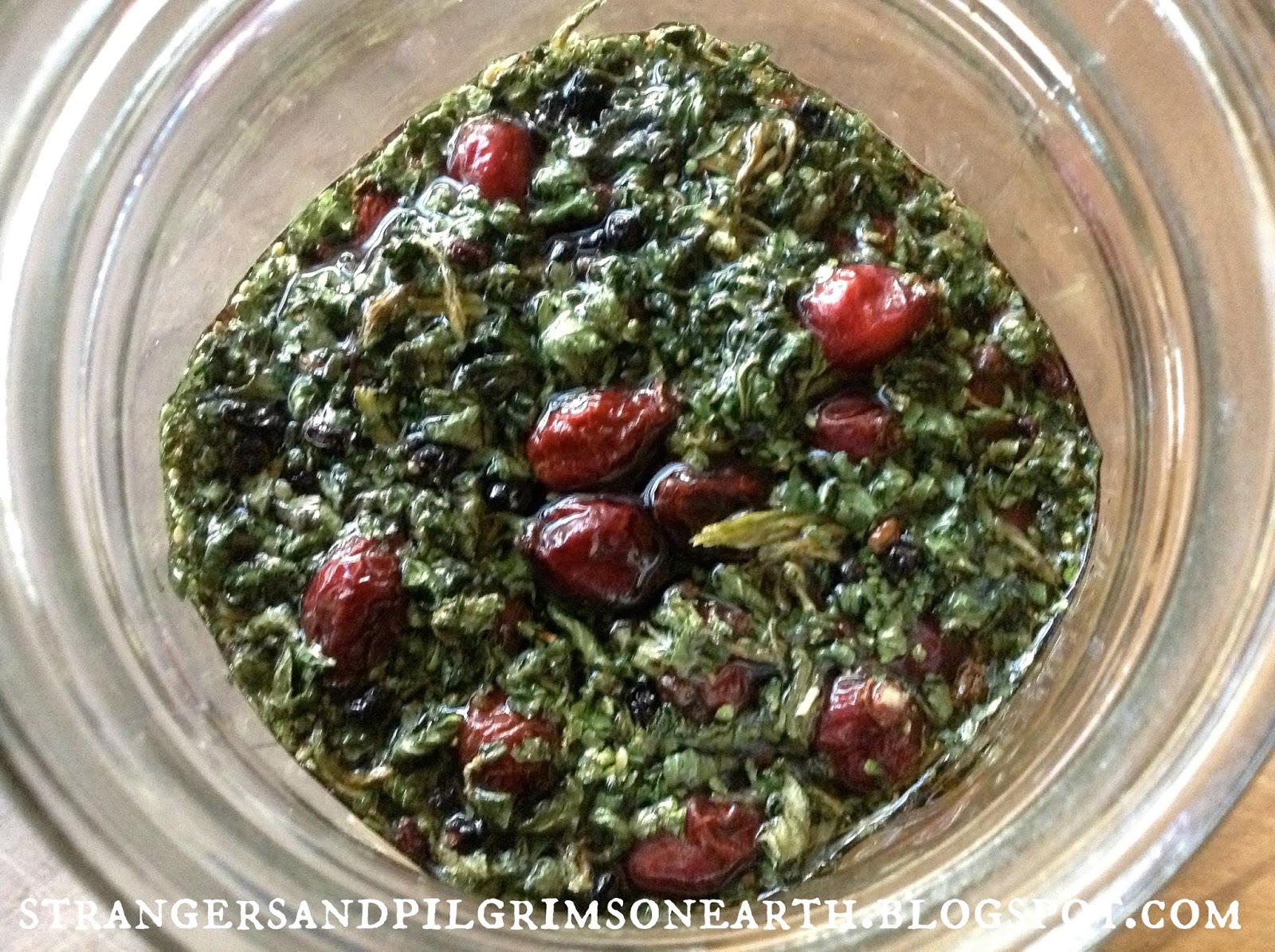 Strangers & Pilgrims on Earth DIY My AllNatural Nettle Allergy