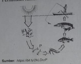 Biologi X Semester 2 Ekosistem Penilaian Harian