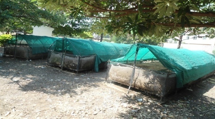 project on vermicomposting method | project on vermicompost
