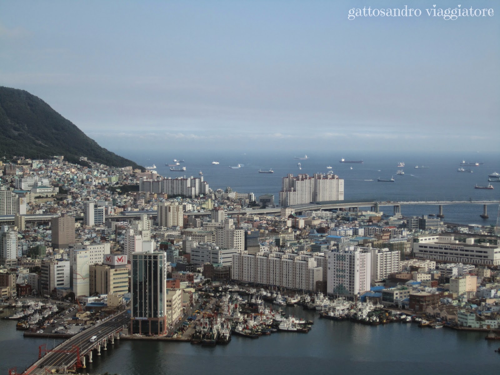 Busan Tower view