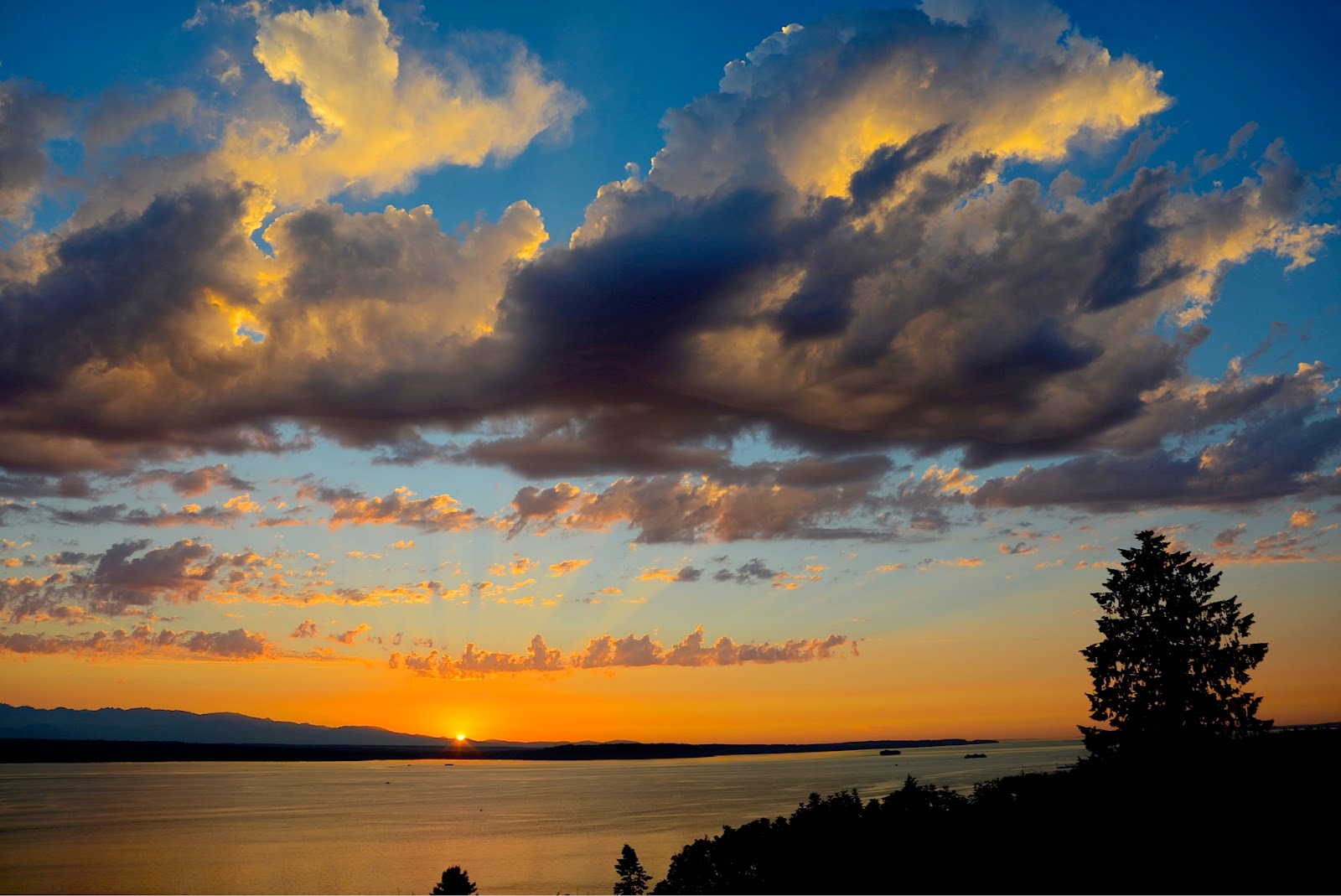 Shoreline Area News: Photo: the rays of the sun