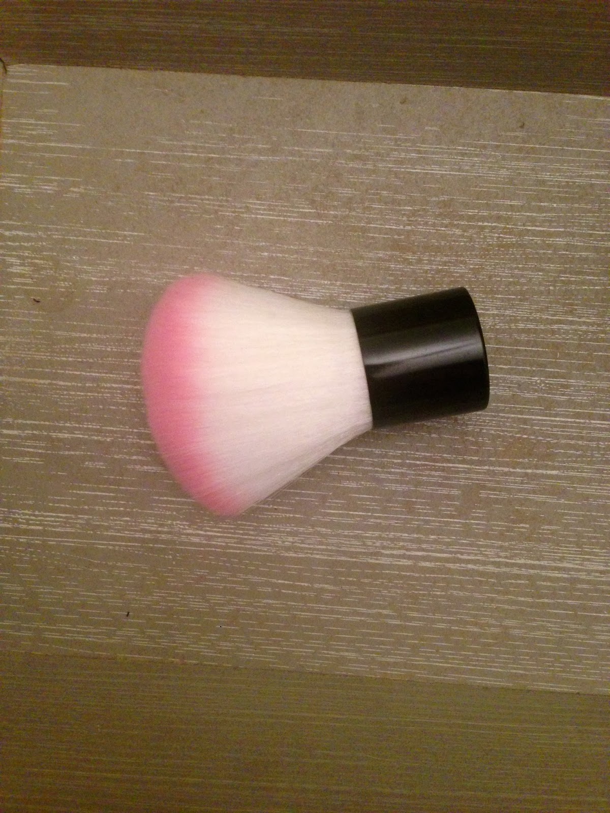 BLOGMAS DAY 1 POUNDLAND BRUSHES Daisy & Belle