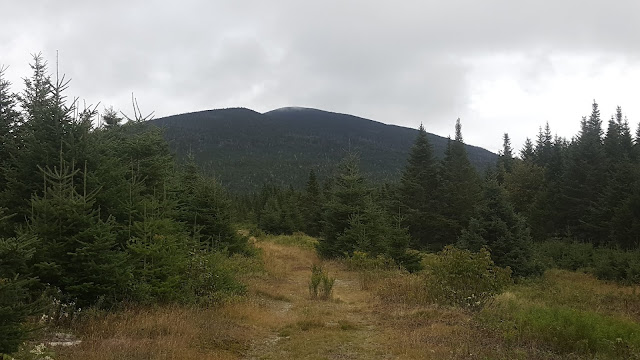 Vue sur le South Crocker et le Crocker