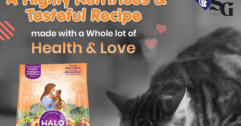 Pet Food Singapore Buy Cat Food Online At The Best Price