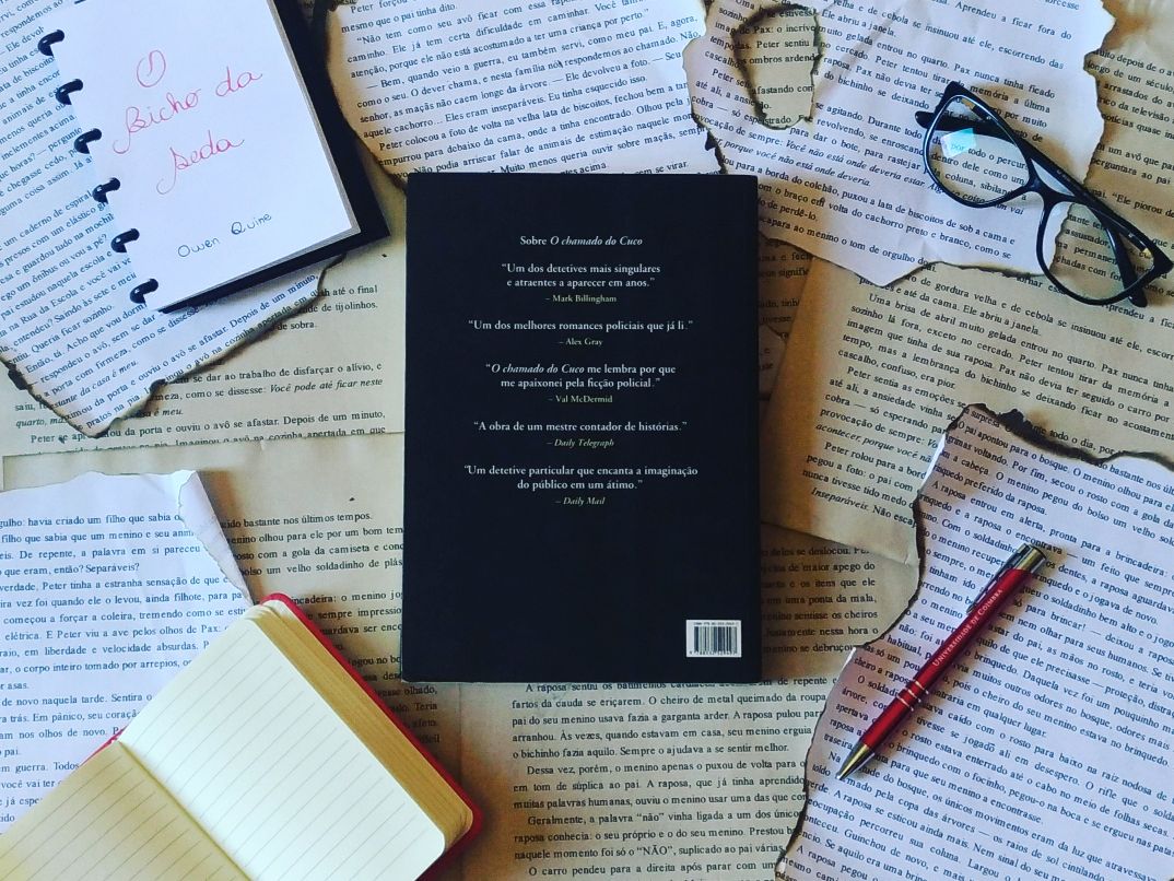O Bicho-da-Seda Robert Galbraith