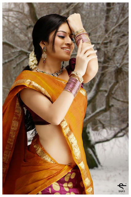 Kannada Actress Nisha Shetty Latest Pics In Saree 3