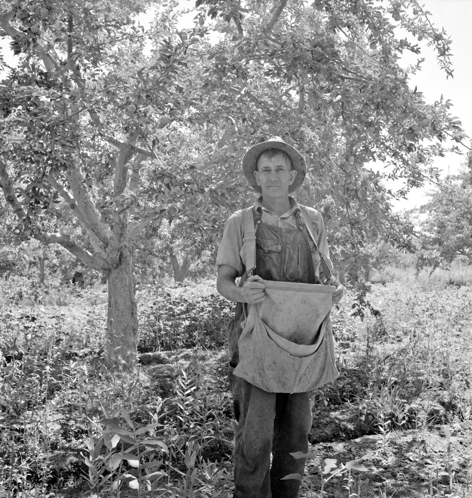 History in Photos Dorothea Lange