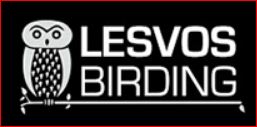 LESVOS BIRDING