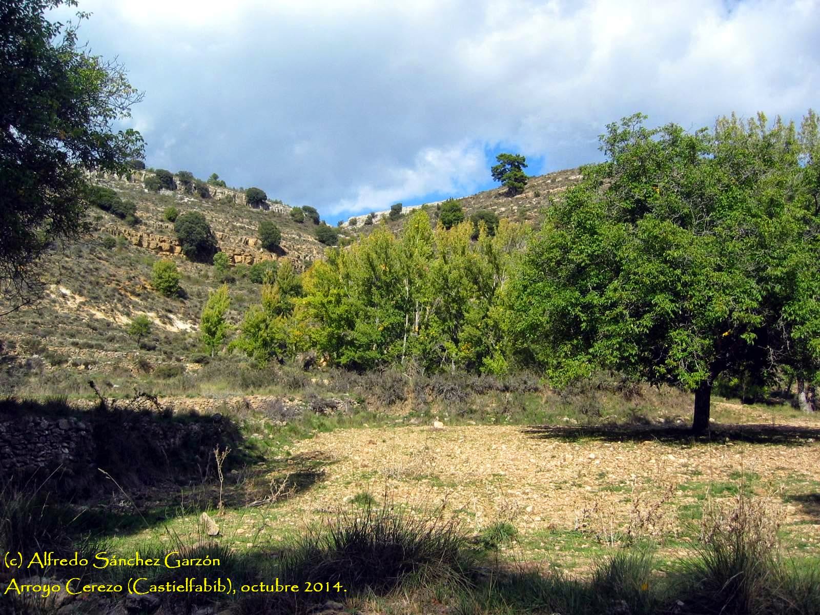 castielfabib-arroyo-cerezo-campos castielfabib-arroyo-cerezo-campos