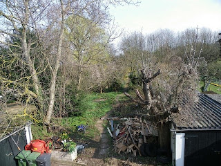 Verwilderter Garten Wo Fange Ich An Braunpulsonicquickly