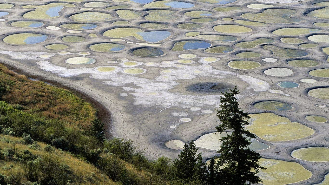 Spotted Lake In British Columbia Canada Hd Wallpapers