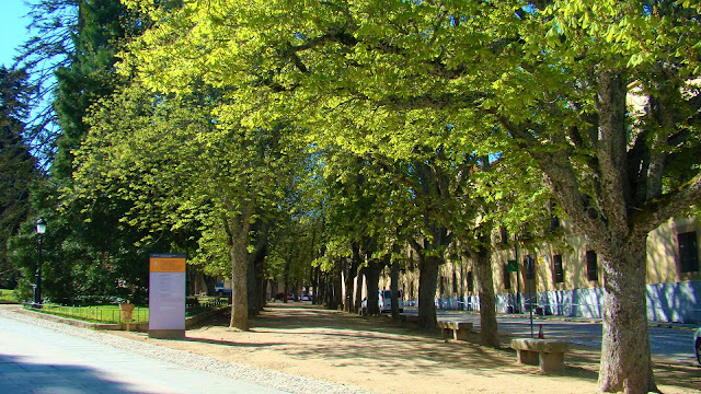 Castaños de indias (Aesculus hippocastanum L., Sp. Pl.).