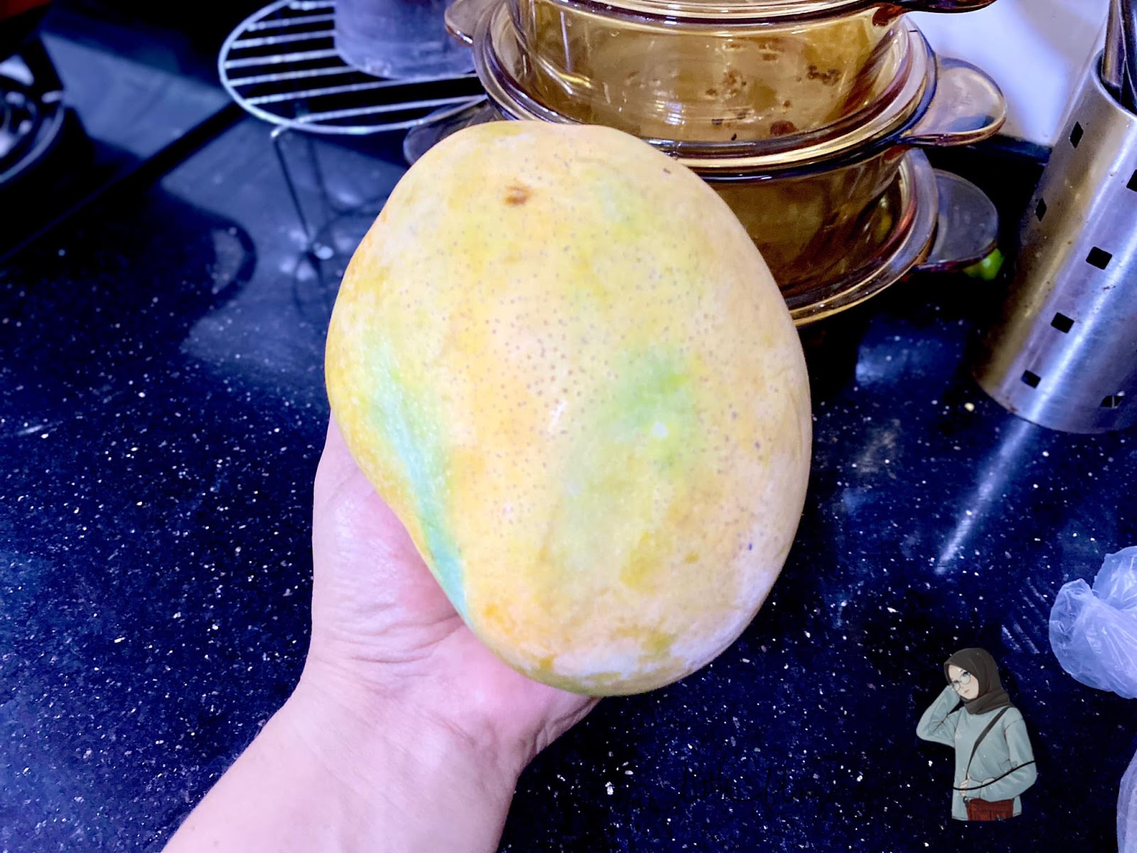 BESAR SUNGGUH BUAH MANGGA NI!