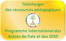 Ressources pédagogiques à télécharger solidairement