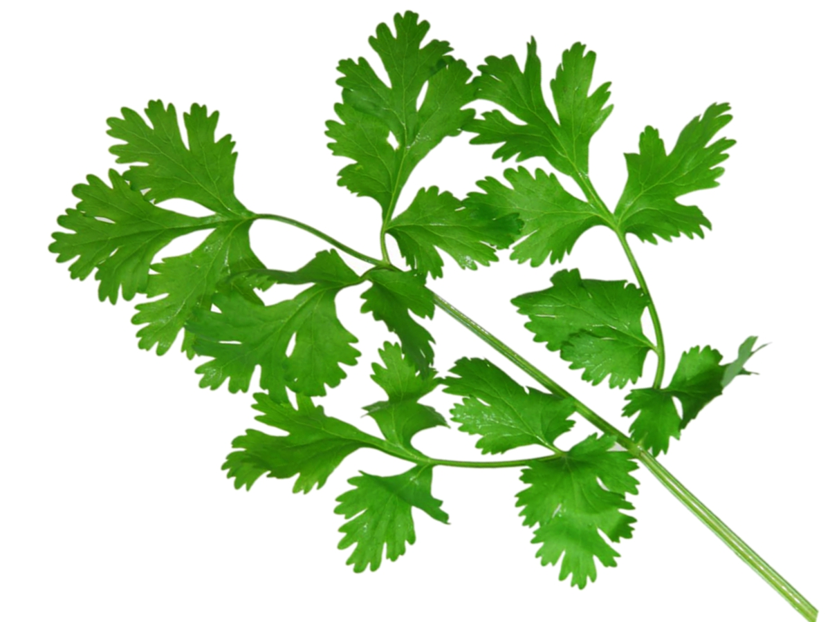 A Harmony of Flavors Five Essential Spice Mixtures