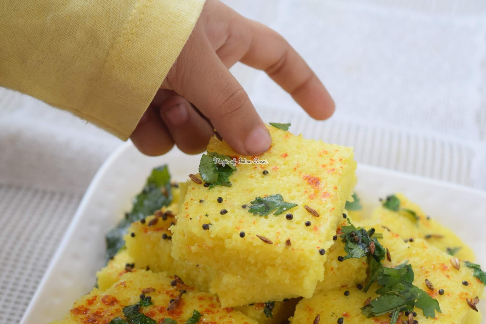 Instant Moong Dal Dhokla Recipe Magic of Indian Rasoi