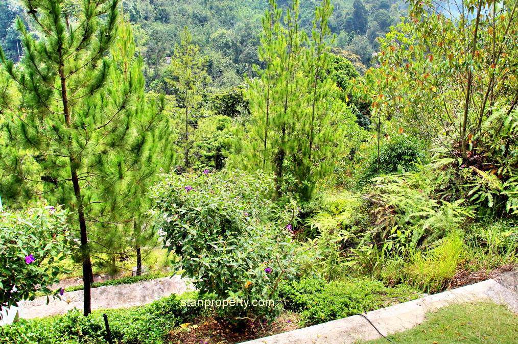 bukit tunku bungalow Bukit Tinggi Bungalow Land For Sale