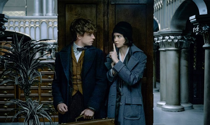 [COLUNA] Algumas teorias sobre Animais Fantásticos que você provavelmente não sabia!