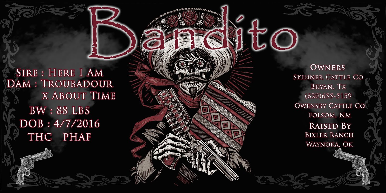 Bandito Banner