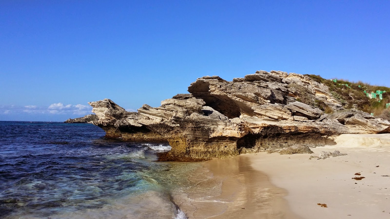 Getting stranded on Rottnest Island The expat chapter Perth Getting stranded on Rottnest Island The expat chapter Perth