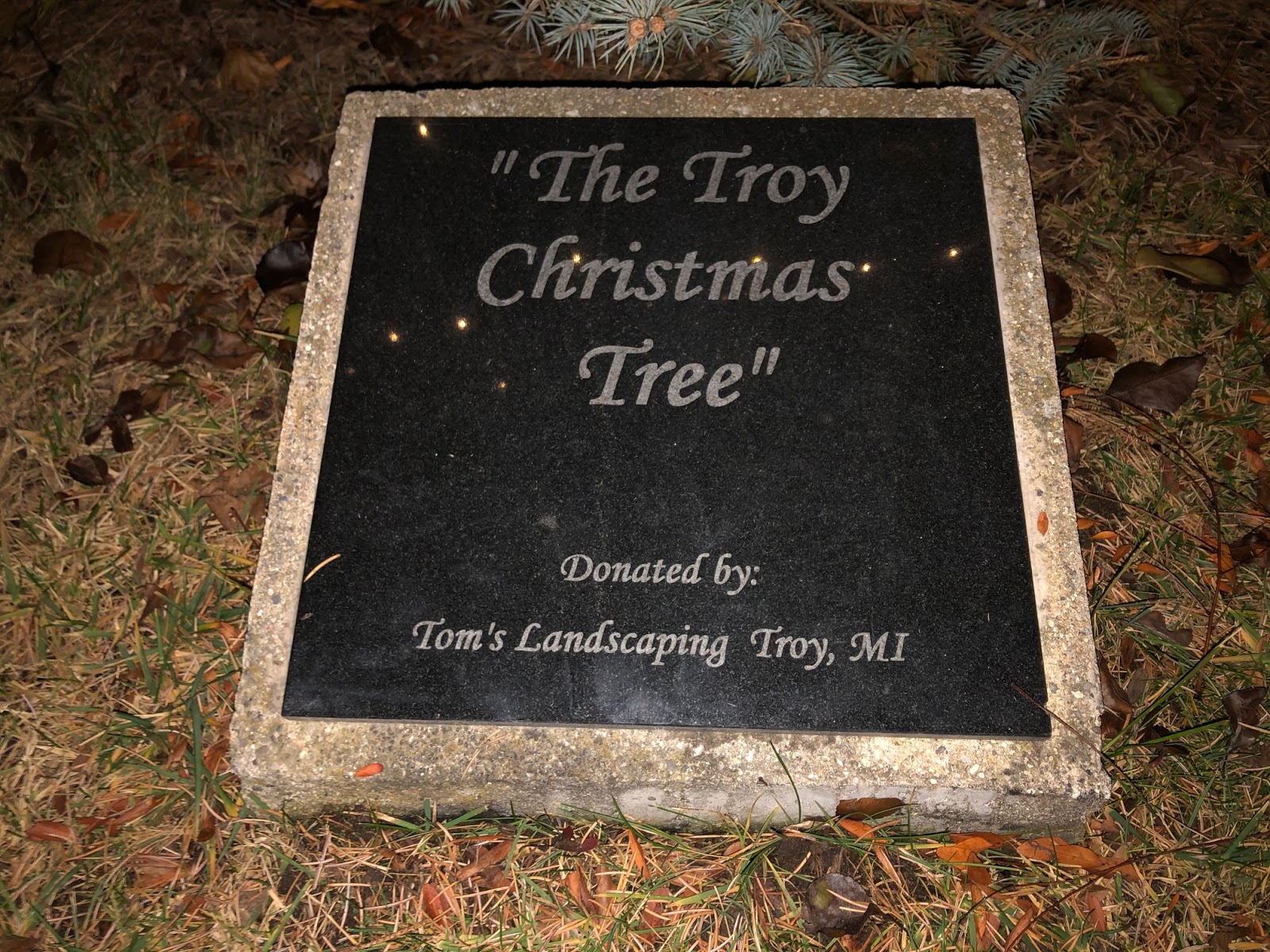 2019 Troy Christmas Tree Lighting Ceremony