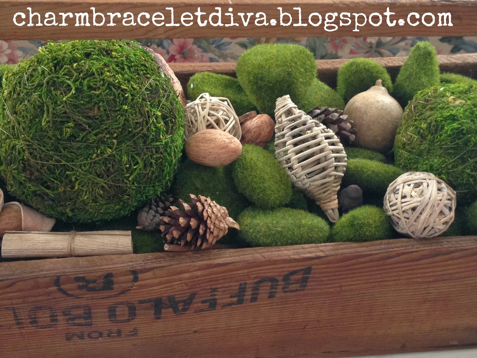 Our Hopeful Home Decorating With Moss And Natural Filler