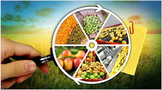 agriculture Export scope in India