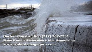 mold remediation